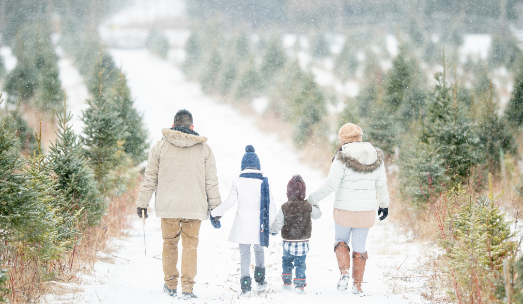 Navigating the Holidays Without a Loved One: Honoring Their Legacy and Memories