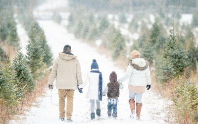 Navigating the Holidays Without a Loved One: Honoring Their Legacy and Memories